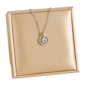 Collier argenté avec pendentif cercle en zircon sur présentoir en satin champagne