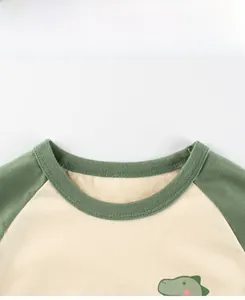 Close-up of kids raglan T-shirt with green ribbed crew neck and cartoon dinosaur print