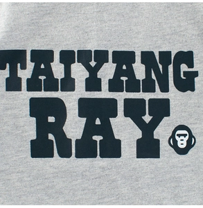 Detail of grey cotton fabric with TAIYANG RAY letter print and ape logo icon