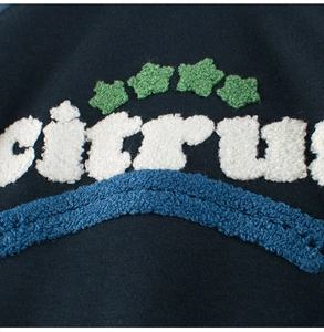 Close-up of premium citrus chenille embroidery and green stars on navy blue sweatshirt