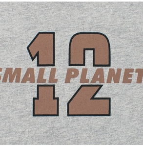 Close-up of retro 12 SMALL PLANET print on gray cotton fabric for boy long sleeve t-shirt
