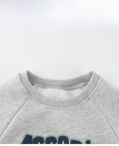 Detail view of ribbed round neckline and warm fleece lining on a gray sweatshirt