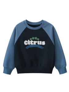Boys Raglan Sleeve Fleece Sweatshirt Kids Citrus Letter Embroidery Pullover Casual Patchwork Winter Warm Cotton Blend Top