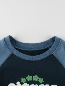 Toddler boys long sleeve sweatshirt in navy and blue with green star embroidery detail