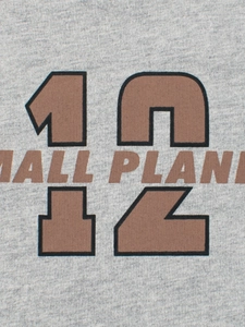 Gray long sleeve boys T-shirt featuring a large brown number 12 Small Planet print