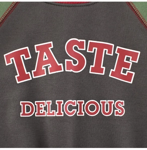 Detail of grey fleece sweatshirt with green raglan sleeves and TASTE DELICIOUS print