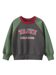Boys Sweatshirt Fleece Lined Raglan Sleeve Color Block Letter Print Casual Cotton Blend Pullover Toddler Kids Tops