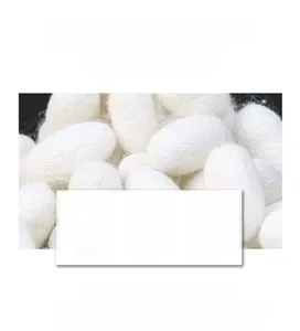 Detail of 100% natural mulberry silk cocoons and 12 momme twill texture properties