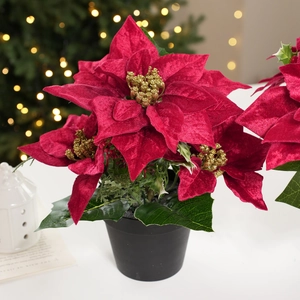 Artificial potted red poinsettia plant with velvet leaves for Christmas desk decor