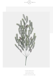 Detailed view of frosted pine branch with pinecones for festive Christmas decor