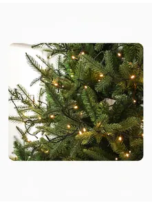 Primer plano de agujas de pino verde densas con luces LED amarillas cálidas del árbol