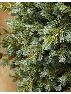 Macro detail of dense blue-green PE needles and realistic brown stems on a Christmas tree