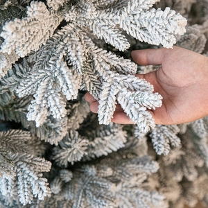 Árbol de Navidad nevado con ramas frondosas flocadas en blanco y agujas verdes reales