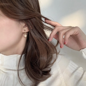 Elegant gold-plated star-shaped charm hoop earrings with sparkling cubic zirconia inlay