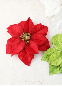 Macro detail of velvet poinsettia flowers with golden glitter center for Christmas decor