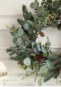 Detailed close-up of snowy eucalyptus leaves, pine branches and natural pine cones