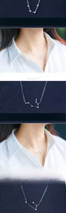 Detailed view of S925 silver zodiac pendant necklace with sparkling zircon stones
