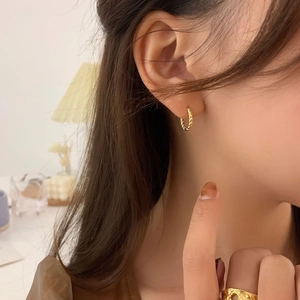 Twisted Rope Hoop Earrings Copper With Gold Silver Plated Small Round Circle Minimalist Jewelry For Women Girls Elegant