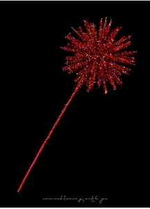 Detail of red glittered starburst Christmas picks on high-contrast black background