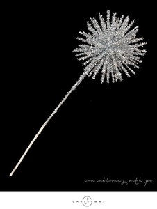 Detailed view of silver glitter star picks with festive shimmering texture for Christmas