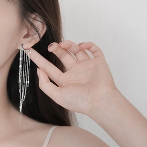Elegant silver tassel hoop earrings with dangling heart discs on delicate metal chains