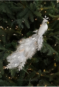 Close-up of glittery silver peacock bird ornament nestled in green Christmas tree branches