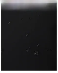 Close-up of waterproof Oxford fabric showing water-repellent beads on black backpack material