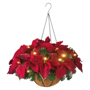 Hanging Christmas basket with red poinsettia, LED lights, and natural coco liner