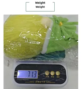 Mesure du poids d'un gnome de Pâques vert et jaune affichant 71,3 g sur une balance