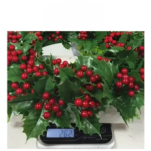 Gewichtsmessung eines Weihnachtskranzes mit grünen Blättern und roten Beeren bei 262g