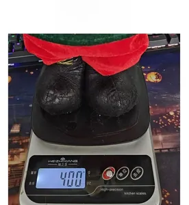Vue détaillée des pieds de la poupée de Noël sur une balance pesant environ 400g