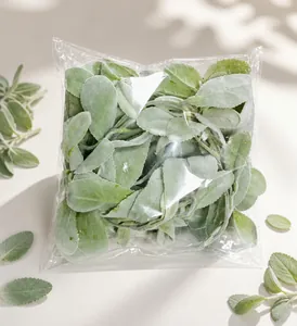 Λεπτομέρεια από τεχνητό φύλλωμα Lamb's Ear σε διάφανη πλαστική συσκευασία