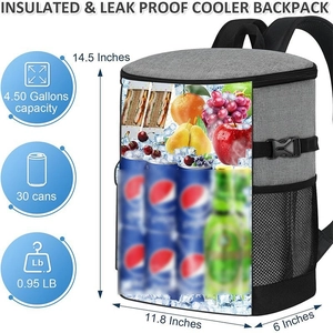 Insulated cooler backpack for 30 cans, lightweight 4.5 gallon waterproof gray hiking bag