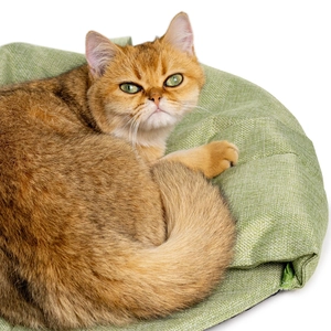Detail van bladvormig kattenbed met zachte groene stof en handige afneembare rits
