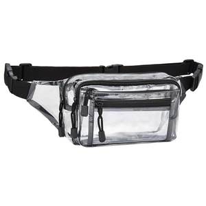 Front view of transparent PVC waist bag with three zippered compartments and black strap