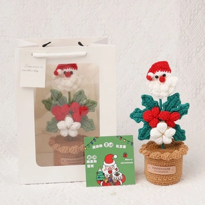 Pianta di Babbo Natale lavorata a maglia a mano con sacchetto regalo e biglietto