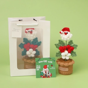 Vaso di fiori Babbo Natale all'uncinetto fatto a mano con sacchetto e biglietto