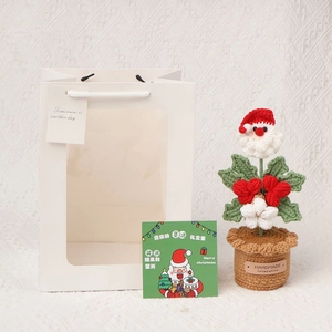 Fiore di Babbo Natale all'uncinetto fatto a mano con sacchetto regalo e biglietto