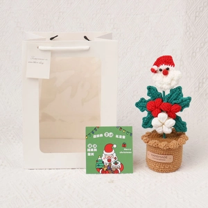 Dettaglio di pianta di Babbo Natale fatta a mano con borsa regalo e biglietto