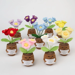 Detail of colorful handmade crochet potted plants with cute smiling faces and message cards