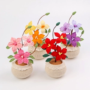 Détails de texture de pots de fleurs de clématites crochetés à la main en quatre couleurs