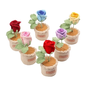 Set of 6 colorful handmade crochet rose flower pots with handmade leather labels