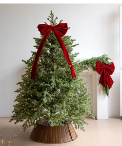 Close-up of red velvet Christmas bows with streamers on decorated tree branches