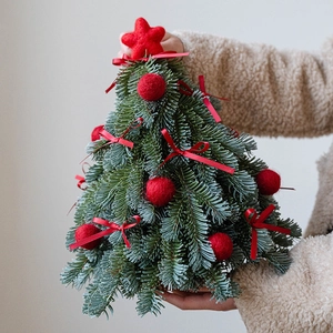 Mini árbol de Navidad con lazos rojos y estrellas decorativas sostenido por manos
