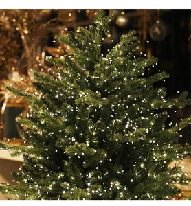 Gros plan de guirlandes LED blanc chaud sur une branche de sapin de Noël vert