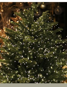 Vue détaillée de guirlandes lumineuses LED blanches sur un sapin de Noël vert