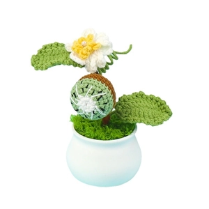 Handmade crochet kiwi fruit desk plant with white flower and ceramic pot for decor