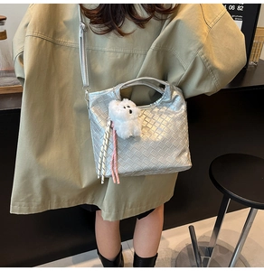 Silver woven crossbody bag with cute puppy charm shown in a modern cafe setting