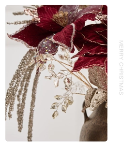 Macro detail of red velvet Christmas poinsettia with gold glitter edges in a ceramic vase