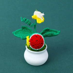 Detailed view of handmade crochet watermelon potted plant with ceramic base and vine